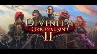 Divinity: Original Sin 2. Прохождение#83. На пути в Академию