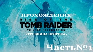 ПРОХОЖДЕНИЕ | Rise of the Tomb Raider 2015 | Часть 1 Гробница Пророка