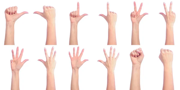 Женский подсчет рук — стоковое фото